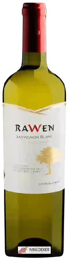 Weingut Ravanal - Rawen Sauvignon Blanc