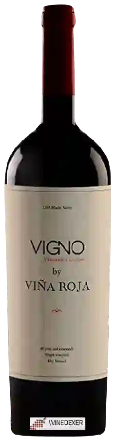 Bodegas Re - Single Vineyard Vigno by Vi&ntildea Roja