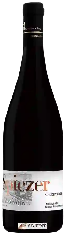 Weingut Rebbau Spiez - Spiezer Alpine Weinkultur - Blauburgunder Weingut Rebbau Spiez - Spiezer Alpine Weinkultur - Blauburgunder