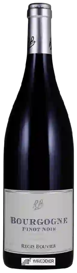 Weingut Régis Bouvier - Bourgogne Pinot Noir Weingut Régis Bouvier - Bourgogne Pinot Noir
