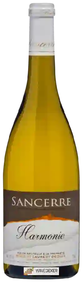Weingut Régis et Laurent Godelu - Harmonie Sancerre Blanc