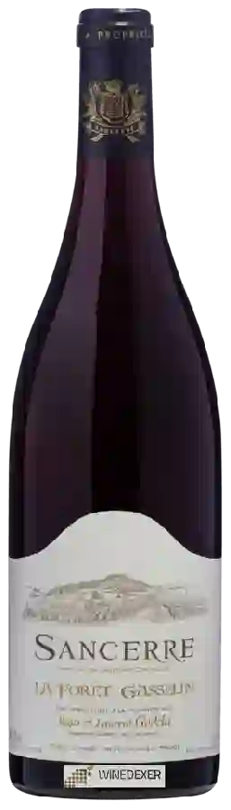 Weingut Régis et Laurent Godelu - Sancerre Rouge Weingut Régis et Laurent Godelu - Sancerre Rouge