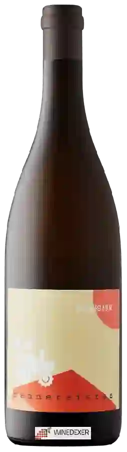 Weingut Renner - Rennersistas Weissburgunder