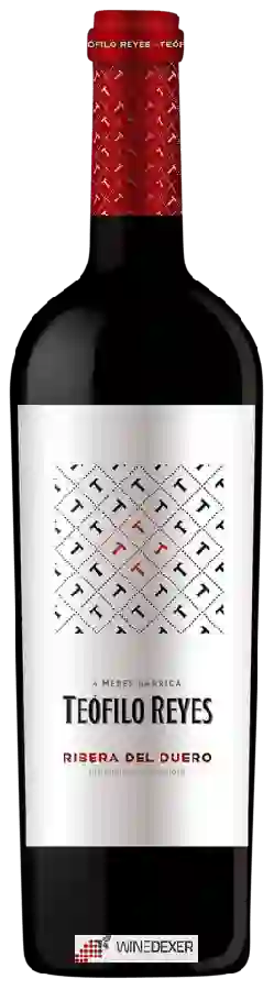 Bodegas Reyes - Teófilo Reyes 4 Meses en Barrica Bodegas Reyes - Teófilo Reyes 4 Meses en Barrica