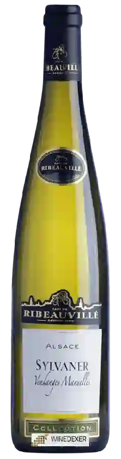 Cave de Ribeauville - Sylvaner Vendanges Manuelles Collection Cave de Ribeauville - Sylvaner Vendanges Manuelles Collection