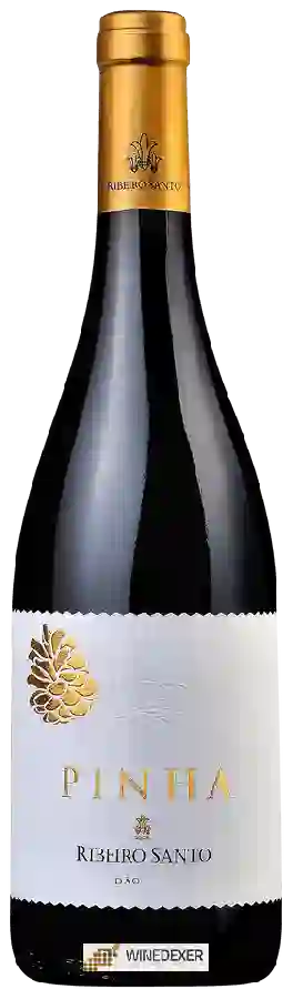 Weingut Ribeiro Santo - Pinha Tinto Weingut Ribeiro Santo - Pinha Tinto