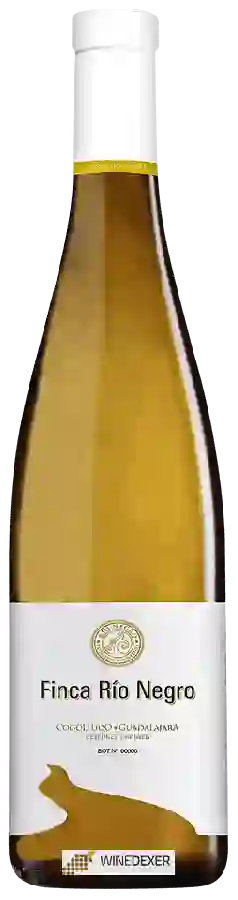 Weingut Finca Río Negro - Gewürztraminer Weingut Finca Río Negro - Gewürztraminer