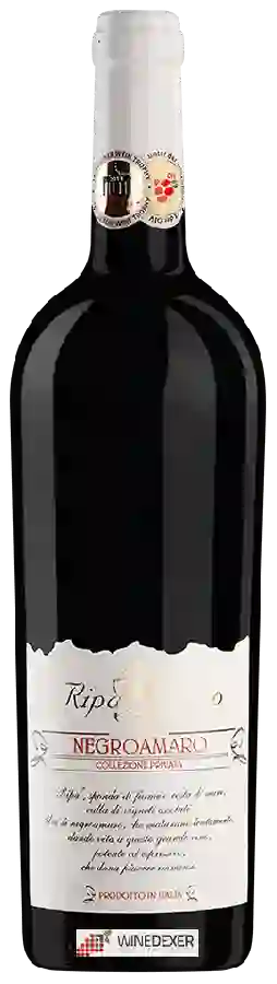 Weingut Ripa di Sotto - Negroamaro Collezione Privata Weingut Ripa di Sotto - Negroamaro Collezione Privata