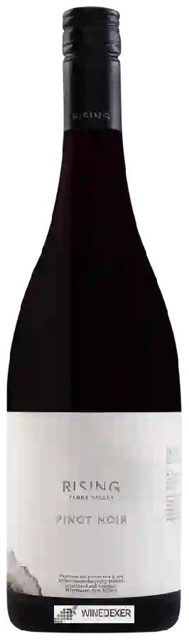 Weingut Rising Wines - Pinot Noir Weingut Rising Wines - Pinot Noir