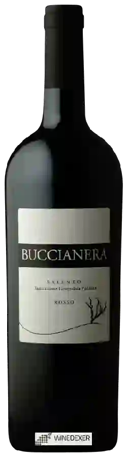 Weingut Risveglio - Buccianera Weingut Risveglio - Buccianera