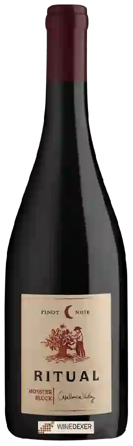 Weingut Ritual - Monster Block Pinot Noir