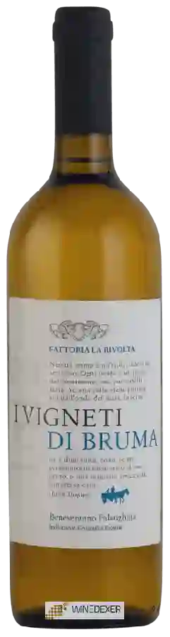 Weingut Fattoria La Rivolta - Vigneti di Bruma Beneventano Falanghina Weingut Fattoria La Rivolta - Vigneti di Bruma Beneventano Falanghina