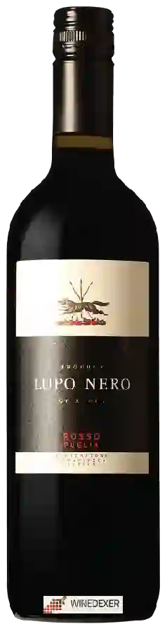 Weingut Rocca - Lupo Nero Weingut Rocca - Lupo Nero