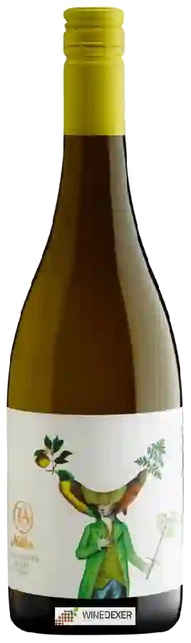 Weingut Rod McDonald - Mister Sauvignon Blanc Weingut Rod McDonald - Mister Sauvignon Blanc