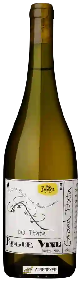 Weingut Rogue Vine - Super Itata Blanco Weingut Rogue Vine - Super Itata Blanco
