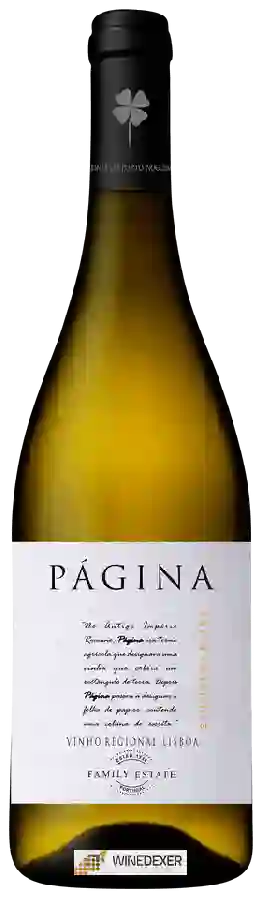 Weingut Romana Vini - Página Sauvignon Blanc Weingut Romana Vini - Página Sauvignon Blanc