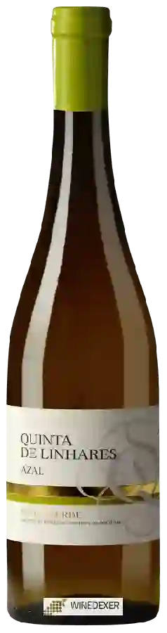 Weingut Agri-Roncão - Quinta de Linhares Azal Weingut Agri-Roncão - Quinta de Linhares Azal
