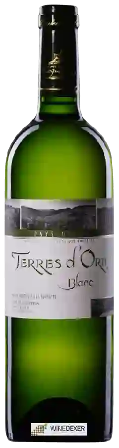 Weingut Roquebrun - Terres d'Orb Blanc