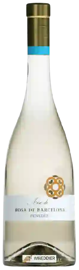 Weingut Rosa de Barcelona - Aire de Rosa de Barcelona Weingut Rosa de Barcelona - Aire de Rosa de Barcelona