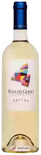 Weingut Cantina Rosa del Golfo - Bolina