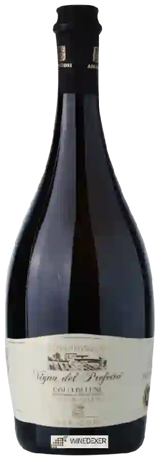 Weingut Rosadimaggio - Vigna del Prefetto Vermentino Superiore Weingut Rosadimaggio - Vigna del Prefetto Vermentino Superiore