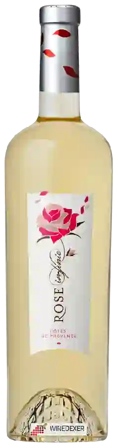 Weingut Rose Infinie - Côtes de Provence Blanc Weingut Rose Infinie - Côtes de Provence Blanc