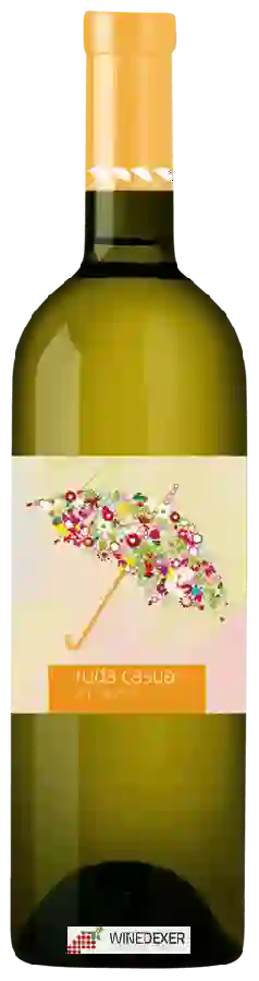 Weingut Ruda - Casual Airén Weingut Ruda - Casual Airén