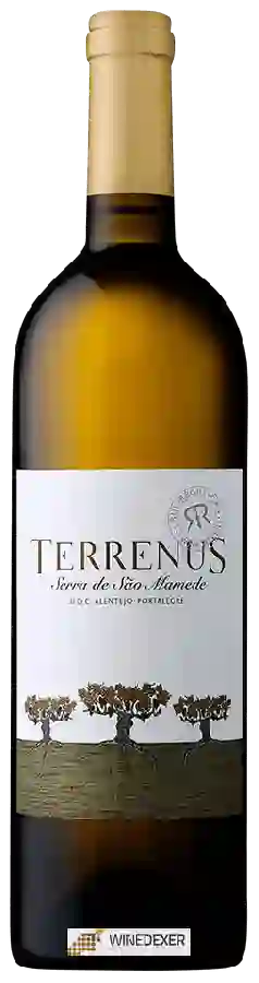 Weingut Rui Reguinga - Terrenus Branco Weingut Rui Reguinga - Terrenus Branco