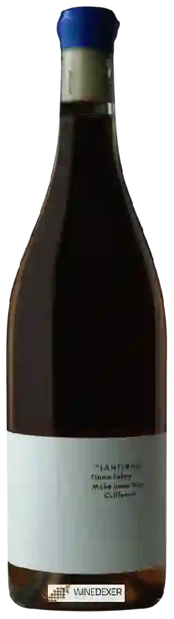 Weingut Sabelli Frisch - Lanterna Weingut Sabelli Frisch - Lanterna