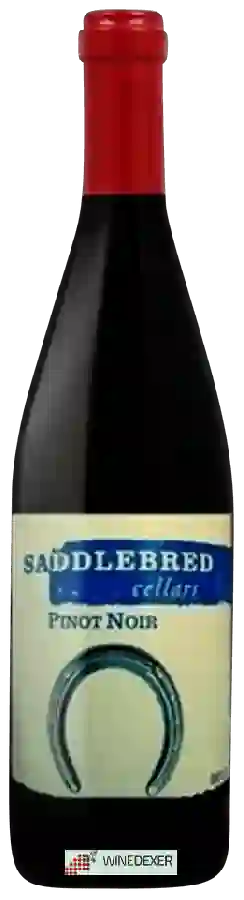 Weingut Saddlebred Cellars - Pinot Noir Weingut Saddlebred Cellars - Pinot Noir