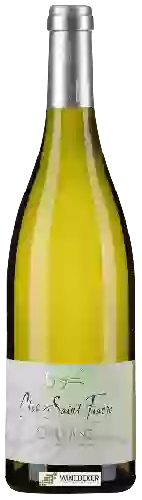 Weingut Clos Saint Fiacre - Orléans Blanc