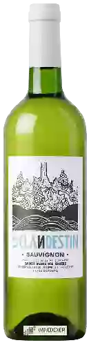 Weingut Sainte Marie des Crozes - Le Clandestin Sauvignon