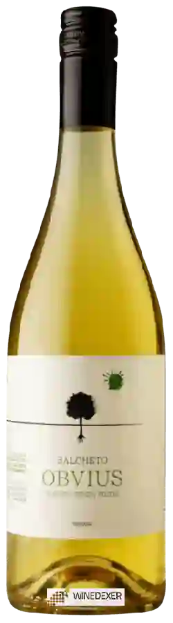 Weingut Salcheto - Obvius Bianco Weingut Salcheto - Obvius Bianco