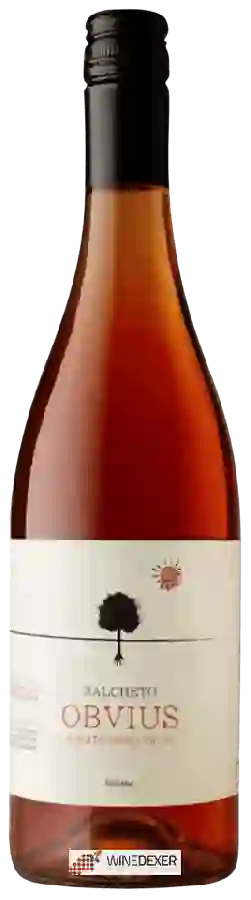 Weingut Salcheto - Obvius Rosato