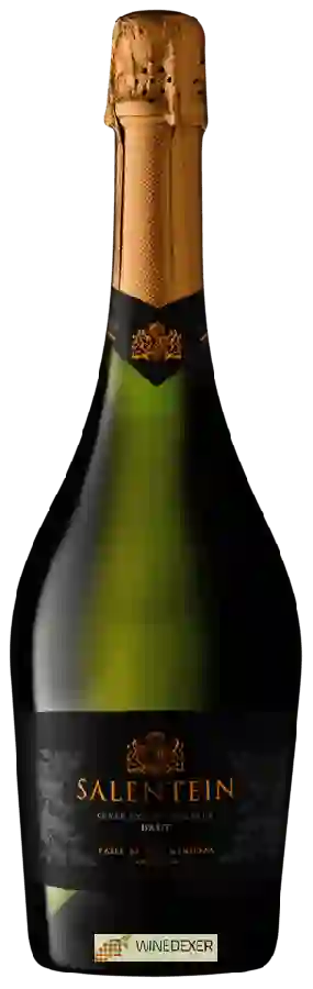 Weingut Salentein - Cuvée Exceptionnelle Brut