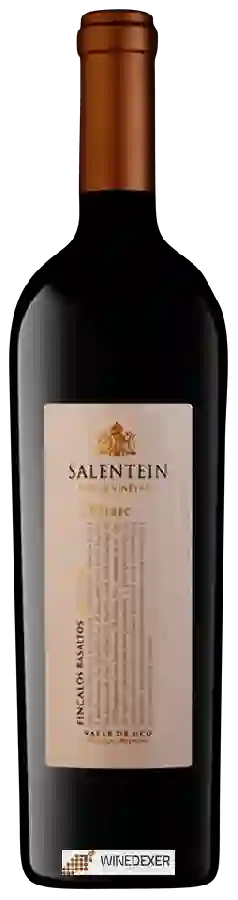 Weingut Salentein - Finca Los Basaltos Single Vineyard Malbec