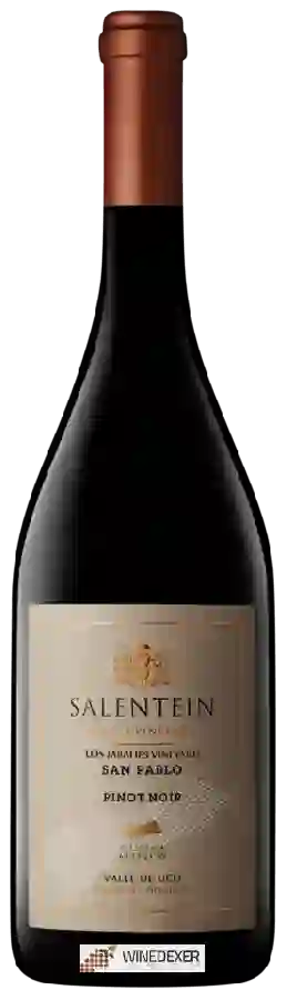 Weingut Salentein - Los Jabalíes Single Vineyard Pinot Noir