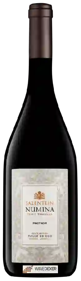 Weingut Salentein - Numina Spirit Vineyard Pinot Noir Weingut Salentein - Numina Spirit Vineyard Pinot Noir