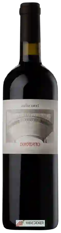 Weingut Salicutti - Dopoteatro Rosso