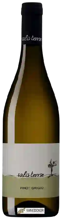 Weingut Salis Terrae - Pinot Grigio