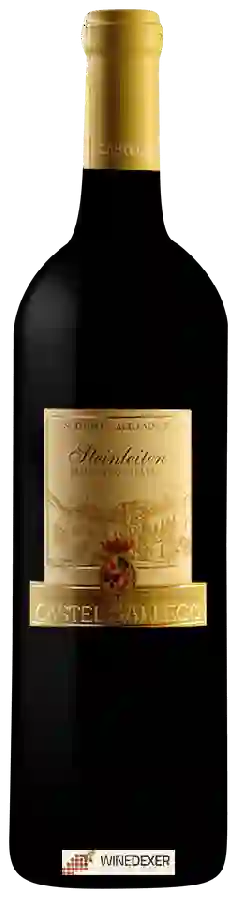 Weingut Castel Sallegg - Steinleiten Moscato Giallo Weingut Castel Sallegg - Steinleiten Moscato Giallo