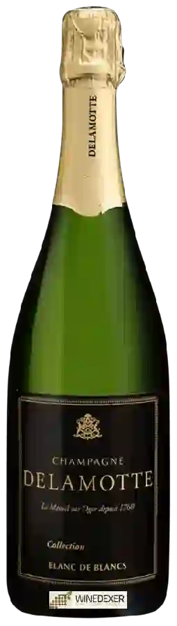 Weingut Delamotte - Collection Blanc de Blancs Champagne Grand Cru 'Le Mesnil-sur-Oger Weingut Delamotte - Collection Blanc de Blancs Champagne Grand Cru 'Le Mesnil-sur-Oger