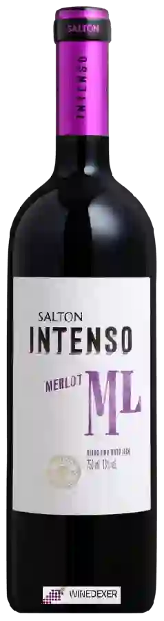 Weingut Salton - Intenso Merlot Weingut Salton - Intenso Merlot