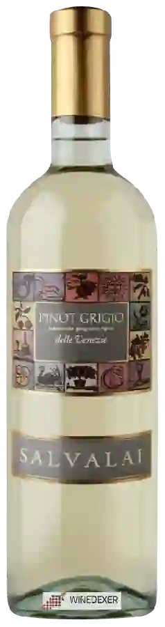 Weingut Salvalai - Pinot Grigio Weingut Salvalai - Pinot Grigio