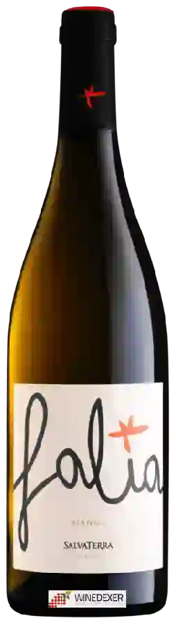 Weingut SalvaTerra - Falia Bianco Weingut SalvaTerra - Falia Bianco