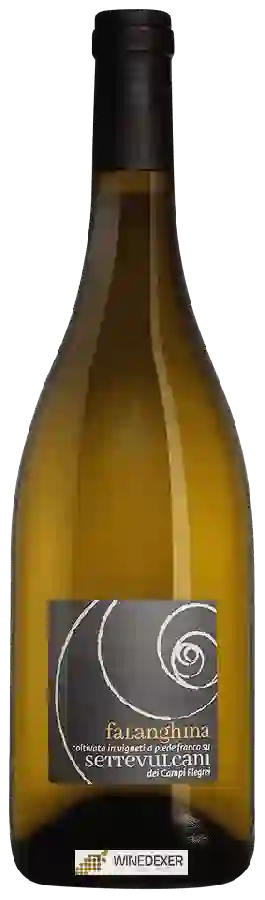 Weingut Salvatore Martusciello - Settevulcani Falanghina dei Campi Flegrei Weingut Salvatore Martusciello - Settevulcani Falanghina dei Campi Flegrei