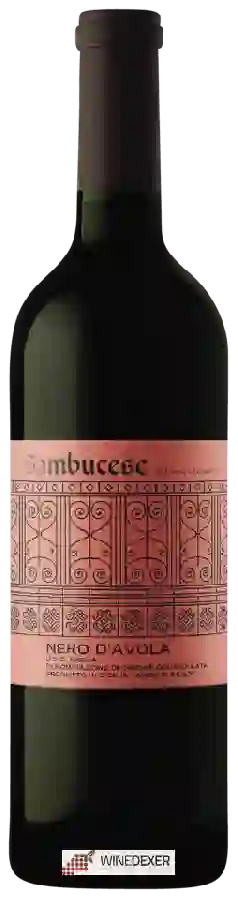 Weingut Sambucese - Nero d’Avola Weingut Sambucese - Nero d’Avola