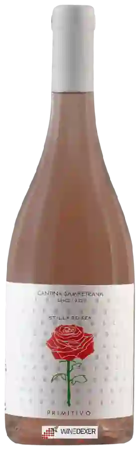 Weingut Cantina Sampietrana - StillaRosea Primitivo Rosè
