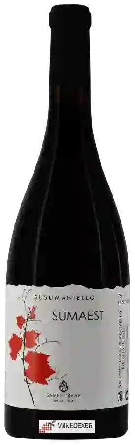 Weingut Cantina Sampietrana - Sumaest Weingut Cantina Sampietrana - Sumaest