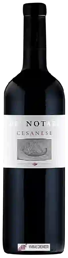 Weingut San Marco - De' Notari Cesanese Weingut San Marco - De' Notari Cesanese